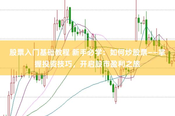 股票入门基础教程 新手必学：如何炒股票——掌握投资技巧，开启股市盈利之旅