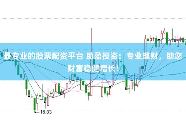 最专业的股票配资平台 助盈投资：专业理财，助您财富稳健增长！